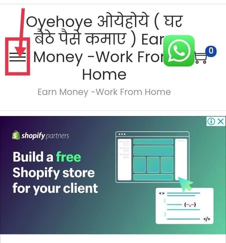 Oyehoye Company And Oyehoye.In App Download